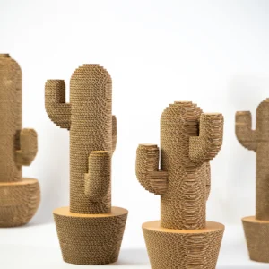 Zero.100 - Sahara Big - cactus in cartone