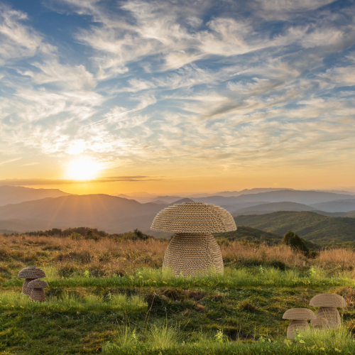 Spreco alimentare: dati aggiornati, cause e soluzioni - Paper Eco