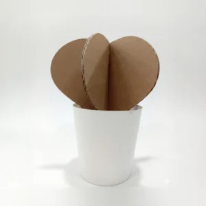 Paplant – pianta in cartone