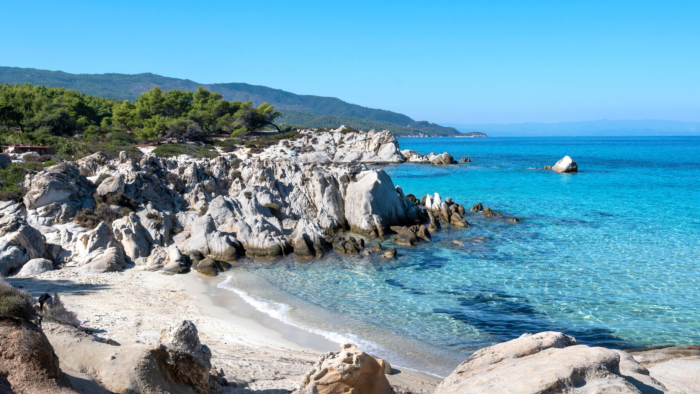 Tag Title: Spiagge blu, sostenibilità ambientale e mare– Paper Eco
