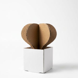 Paper Oasi - Sedona – Collezione di piante in cartone