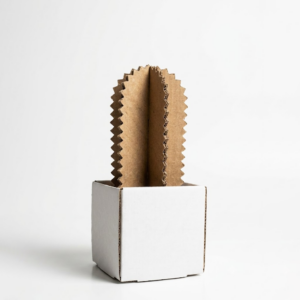 Paper Oasi - Mohai – Collezione di piante in cartone