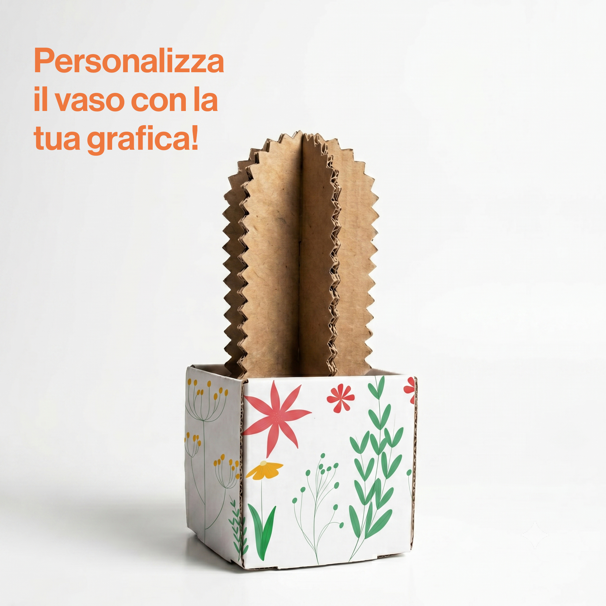 Paper Oasi - Mohai – Collezione di piante in cartone - immagine 2
