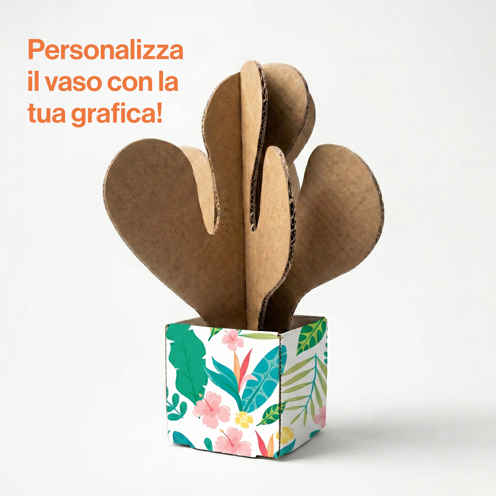 Paper Oasi - Taos – Collezione di piante in cartone - immagine 2